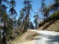 Phobjikha Valley