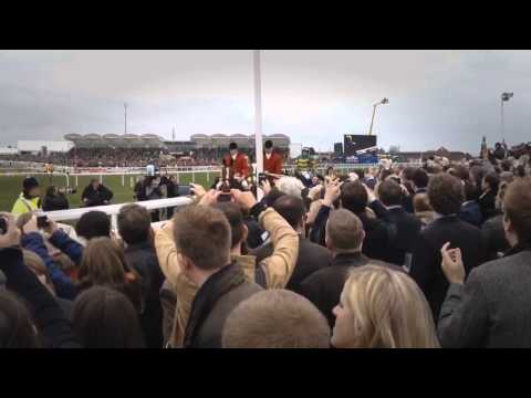 cheltenham gold cup