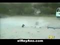 videos de perro incendiario