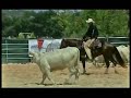 Ans Wyatt Pep N°2 Ans Wyatt Pep N°2