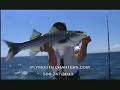 Plymouth Charters Offshore Fishing