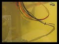 Vegetable Oil PC