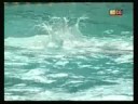 Jadran - Mladost Euroleague 08 25-11-07 water polo