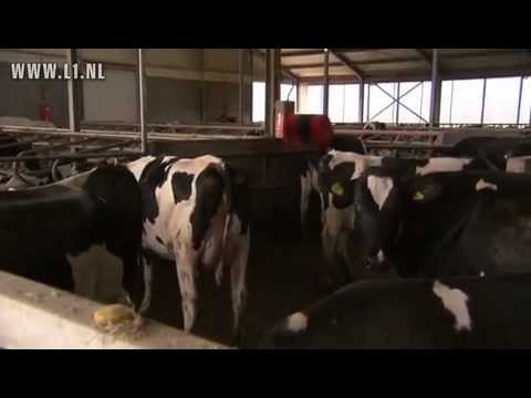 L1 KOPlopers - Hoeve Rosa