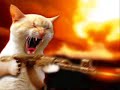 is very funny dj aligator