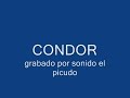 sonido condor santa rosa ca