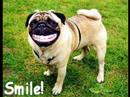 funnythings funnythings