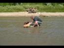 Chewy and Koro at Cherry Creek Reservoir