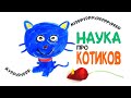 https://www.youtube.com/watch?v=qZQ0oI6YkcE