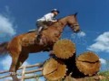 ~ The Show Jumping Music Video ~