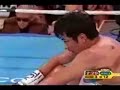 many pacman pacquiao highlights many pacman pacquiao highlights