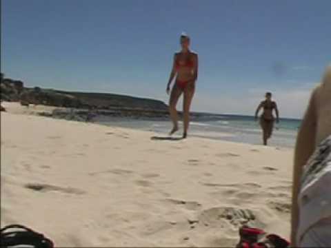 Kangaroo Island / Australia / South ...