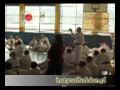 Budokan Lublin vol.15  training with master Rosowski