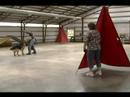 SchH 1 Indoor Training