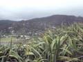 videos de curtindo um som em piha 2