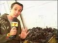 Transalouca na TV - Fuzil na rua
