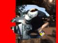 videos de bug93