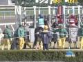 2009年2月15日 京都4R 障害未勝利 マヤノスターダム