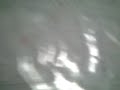 mirad a mi canario haciendose el muerto