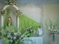 videos de Santa Rosa de Lima - la Tinguiña - ICA