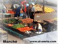 El amria Ain T�mouchent 46110