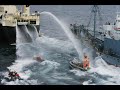 caza de ballenas