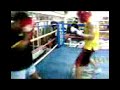 Amiel Boxing Sessions (New 5) Amiel Boxing Sessions (New 5)