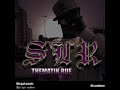 RAP 06 - SLR