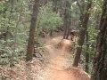 Dark Mountain Kenda Super D #3 Finals
