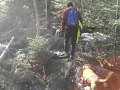 Crossing Cedar Brook