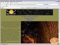 Dreamweaver Tutorial - Creating Hyperlinks, Email links! Dreamweaver Tutorial - Creating Hyperlinks, Email links!