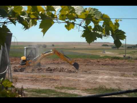 Video Image