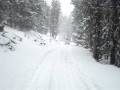 videos de ATVRocks - Trail Riding