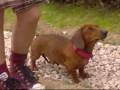 videos de Il mondo di Patty(Patito Feo)-Matias fa una sopresa a Patty!!!*