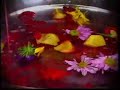 Mangwanani TV Advert - 2