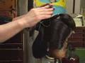 Geisha hair stylist