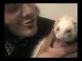 The Billy D Show-Pet Pals