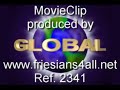 MovieClip 2341