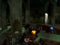 Hog Tactics Hog Tactics