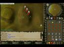 runescape clan of world 30 fite.