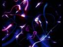 DigimentalVID.wmv DigimentalVID.wmv