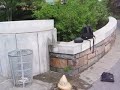 hijinks