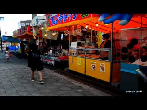 動画