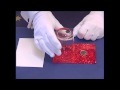 Simple Kids Magic Tricks - Great Magic Coin Trick by Magic Glen