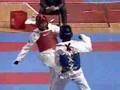 2007 Classified Taekwondo Competition