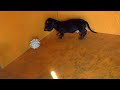 MPEG0015