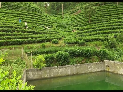 Kết nối thị trường cho sản phẩm đặc trưng vùng miền