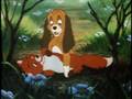 The Fox and the Hound \\ Incomplete (Tod & Copper)