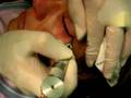 TATUAGGI.IT ... View Video