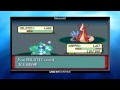 Pokémon Emerald - Finale